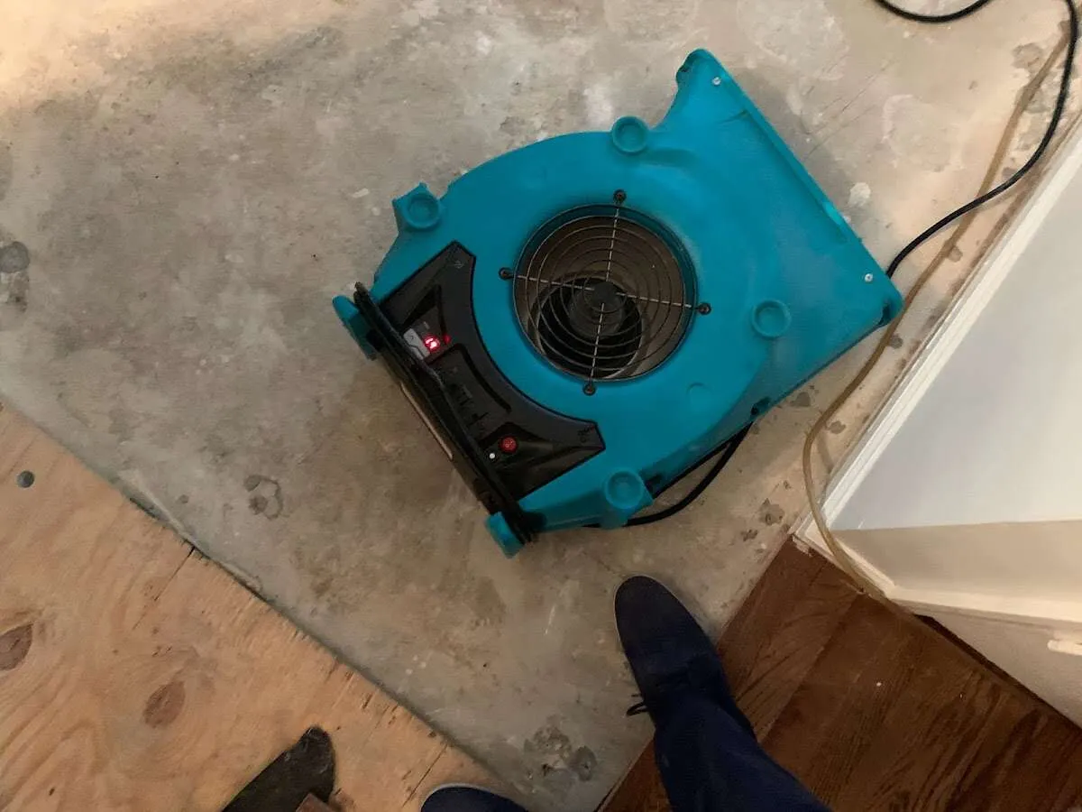 Air mover drying subfloor during Leak Detection & Repair in Sweetwater